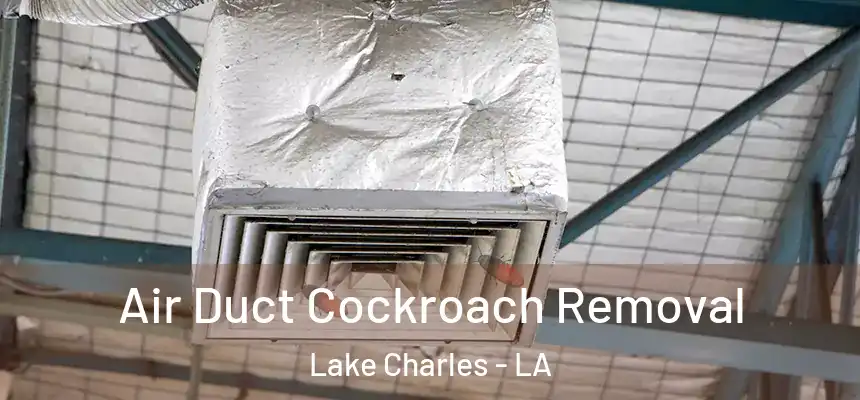  Air Duct Cockroach Removal Lake Charles - LA