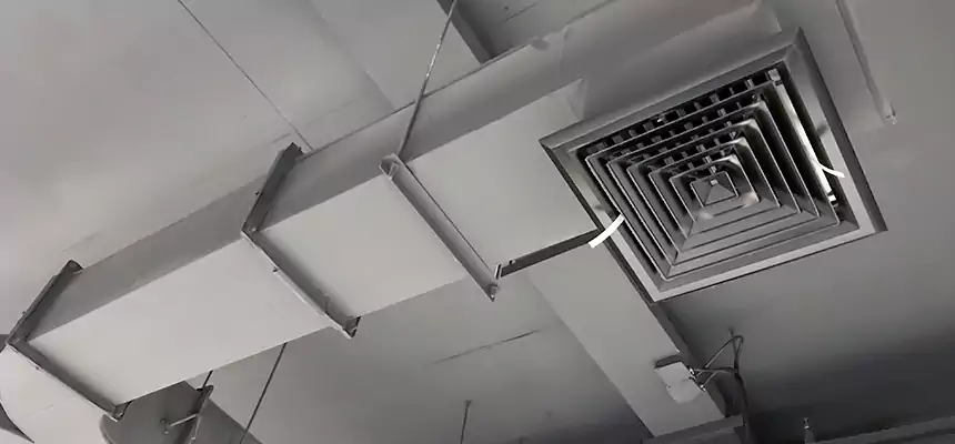 Restorative Allergy Relief Vent Cleaning – Coil, Blower & Housing Detail in Lake Charles