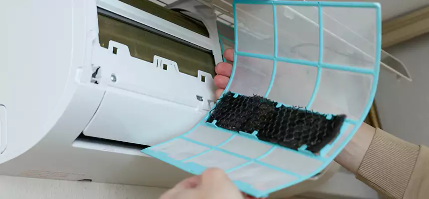 Gentle Ductwork Odor-Control Pet Dander Duct Cleaning in Lake Charles, LA