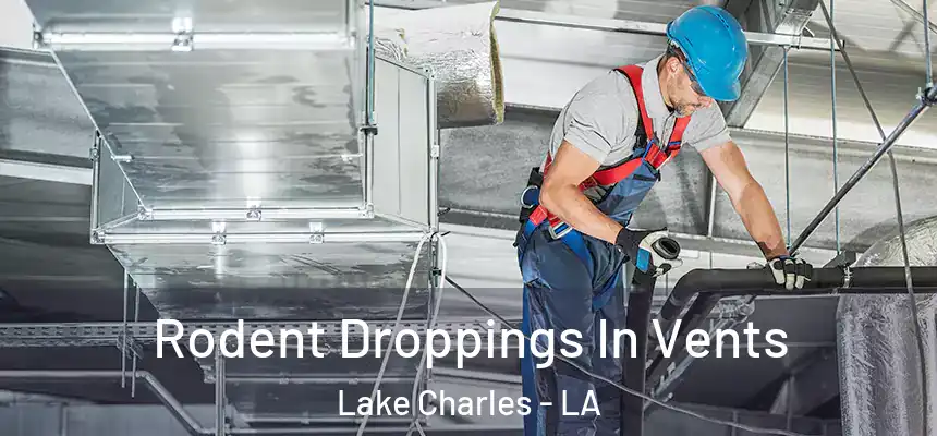  Rodent Droppings In Vents Lake Charles - LA