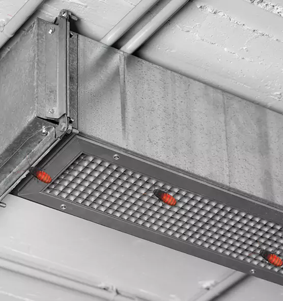 Affordable Insect Removal from Air Ducts in Lake Charles, LA
