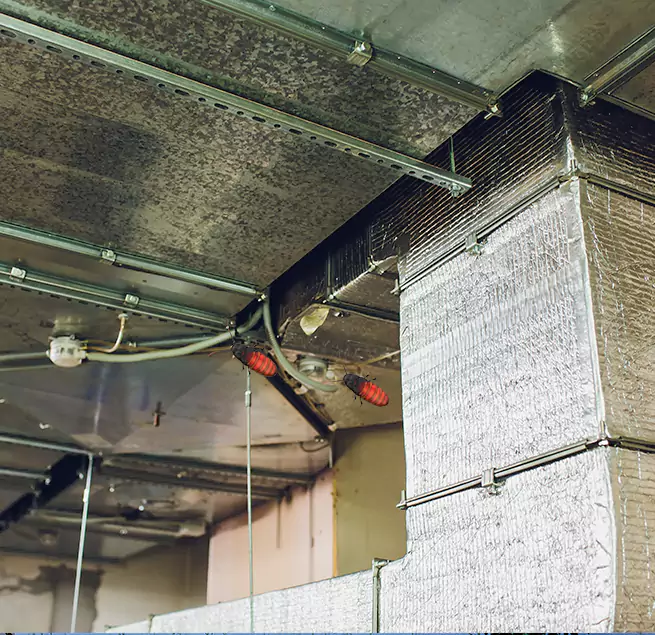 Why Homeowners & Businesses Trust Us in Lake Charles, LA?