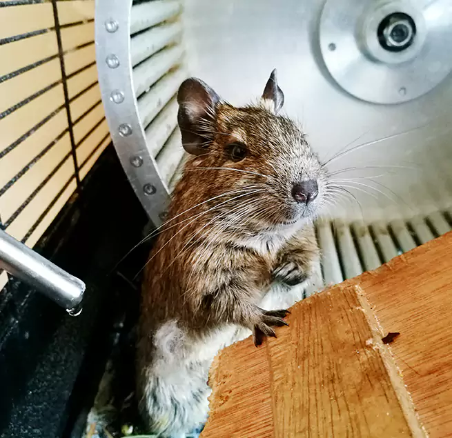 Why Homeowners & Businesses Trust Us Lake Charles, LA